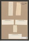 Pleurosigma fasciola (Ehr.) W.Sm. (de-Toni-Nr.: Genus 13, Species 1089) Zeichnungen Sammlung Grunow Nr. 2115 (NHMW-BOT-W0369147)